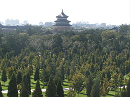 200608_190708b 182.jpg